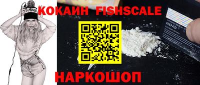 крисы Кулебаки