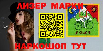 крисы Кулебаки