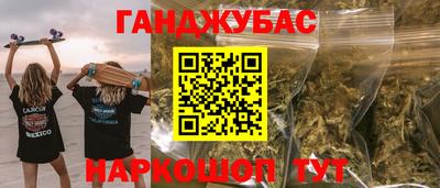 крисы Кулебаки