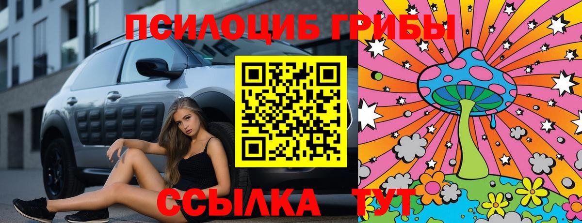Галлюциногенные грибы Psilocybine cubensis  Вход с VPN  Тимашёвск 